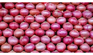 Onion, Garlic