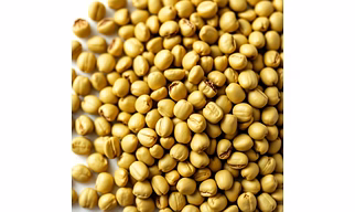 Robusta Green Beans