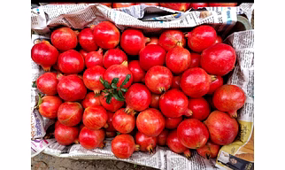 Pomegranate