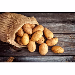 potato