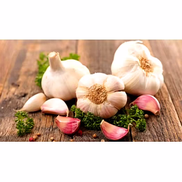 garlic