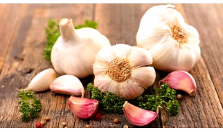 Garlic