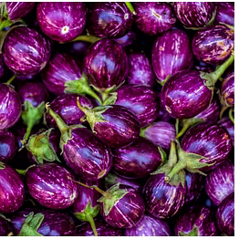 brinjal (vangi )