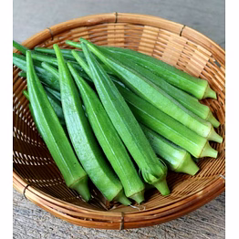okra (lady finger / bhindi)
