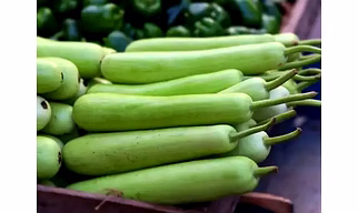 Bottle Gourd (Lauki / Doodhi)