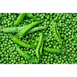 green peas (fresh / iqf frozen)