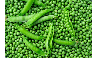 Green Peas (Fresh / IQF Frozen)