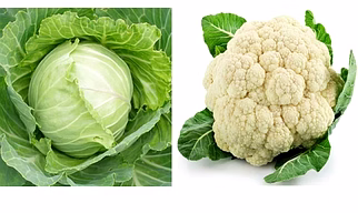 Cabbage & Cauliflower