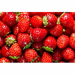 strawberry