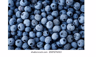 Frozen Blue Berries