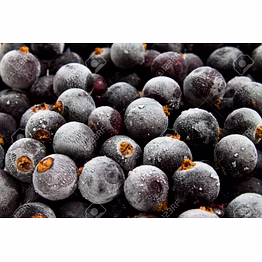frozen imported black current