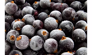 Frozen Imported Black Current