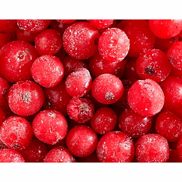 frozen imported red current