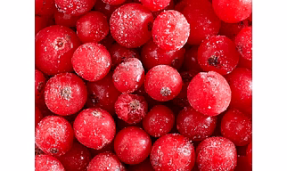 Frozen Imported Red Current