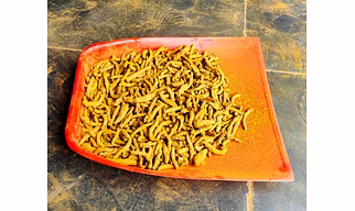 TURMERIC FINGER
