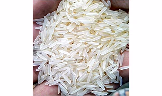 1121 Basmati Rice