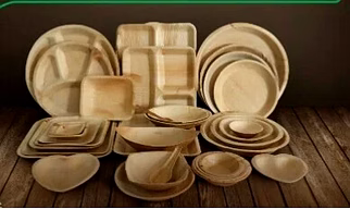 Areca Leaf Products