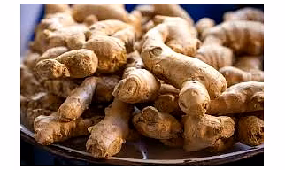 Ginger