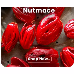 nutmug mace