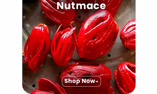 Nutmug Mace