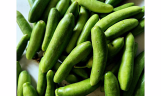 Tindora (ivy gurd)