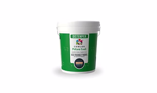 Cowlor Naturecoat Acrylic Distemper Paints