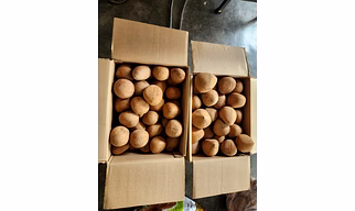 Dry Copra