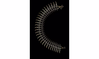 Neclace choker