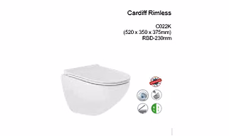 Cardiff rimless Wallhung closet