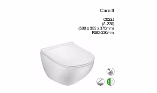 Cardiff Wallhung closet