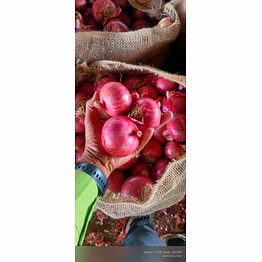 agro commodities