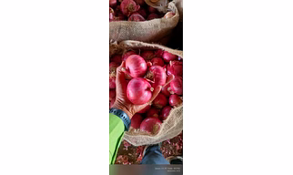 Agro commodities
