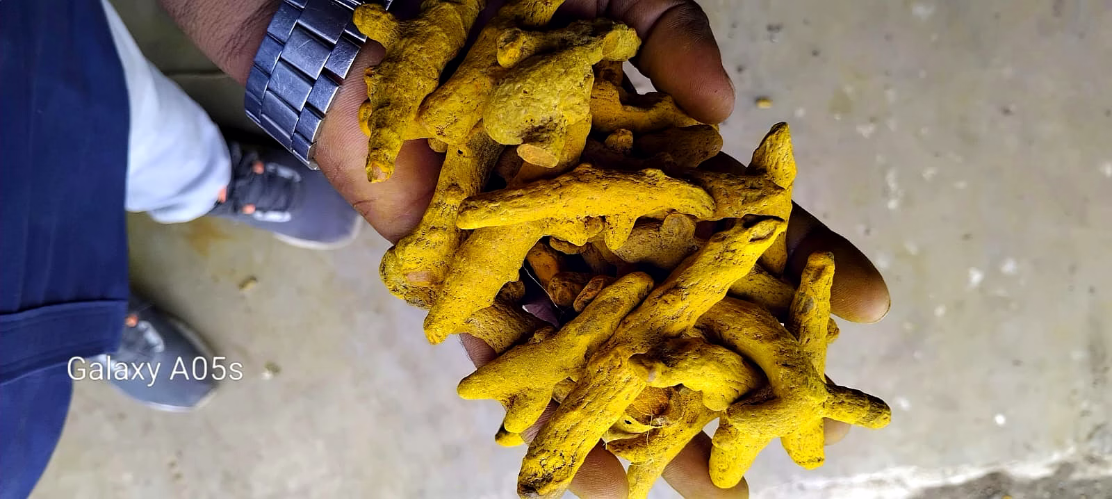 Turmeric finger image 2