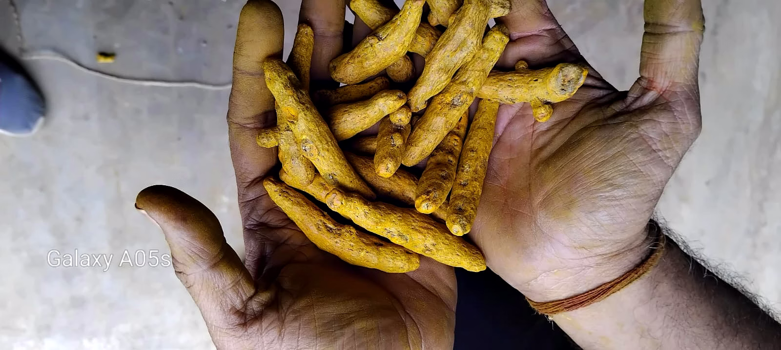 Turmeric finger image 3