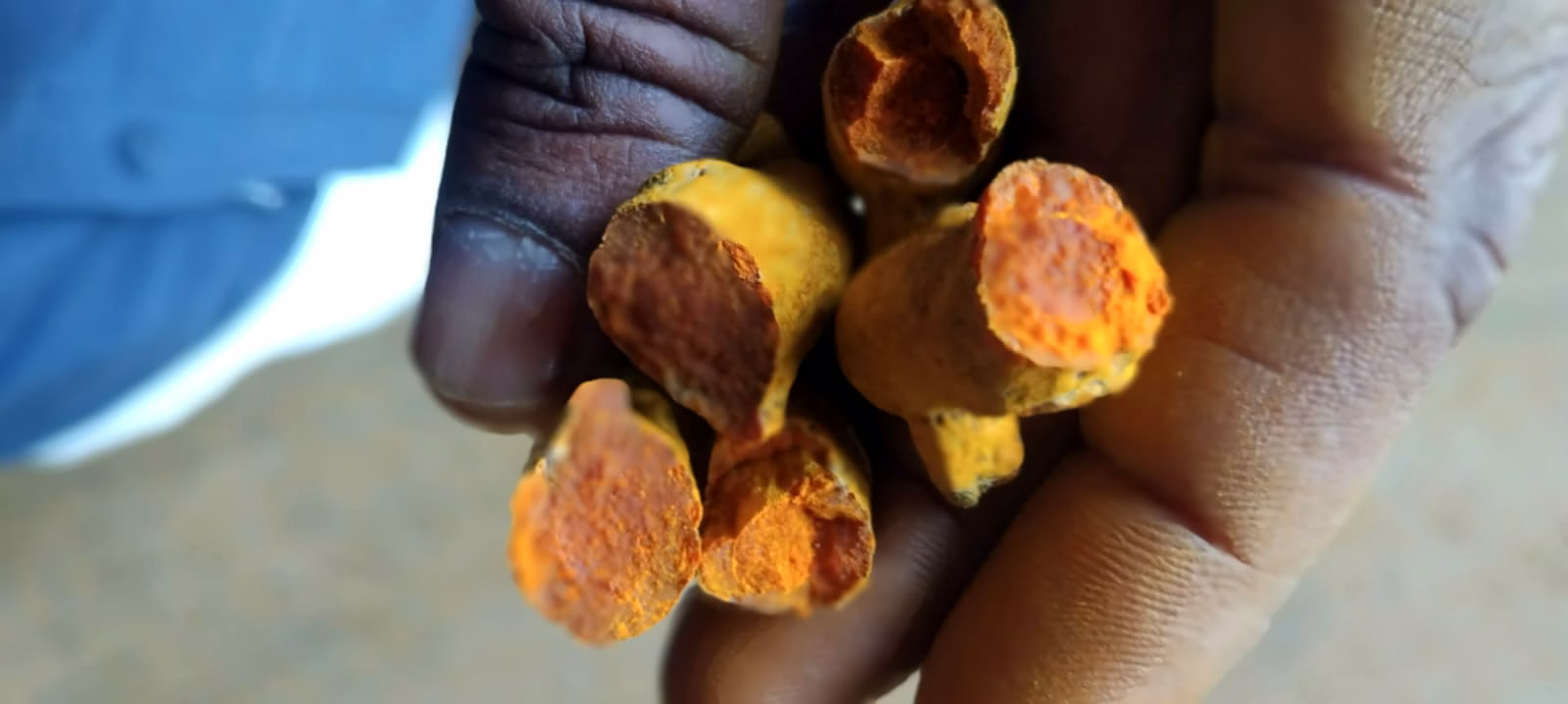 Turmeric finger image 4