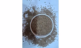 Cumin Seeds