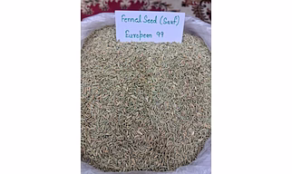 Fennel Seeds