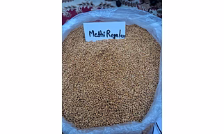 Fenugreek Seeds