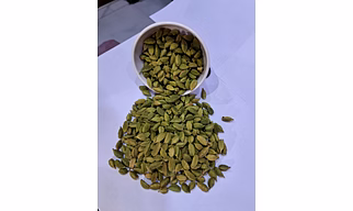 Green Cardamom