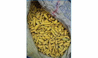 Turmeric Finger