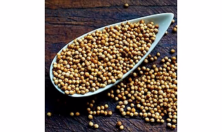 Coriander Seeds