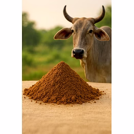 cow dung powder