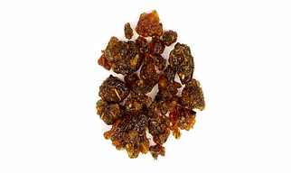Guggulu (Commiphora wightii)