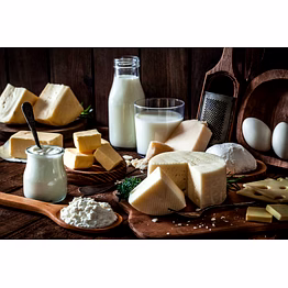 dairy products