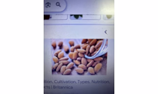 Premium Almonds