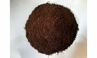 Cow Dung Manure