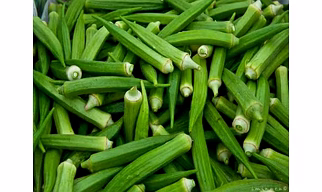 Lady finger