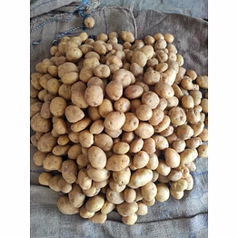 potatoes