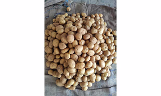 Potatoes