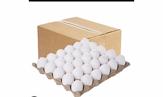White Poultry Eggs
